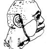 agamidae.net1