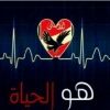 ahmed2620071
