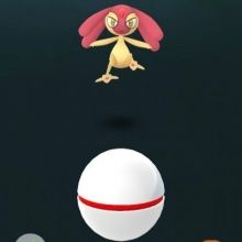 aichipokeka2