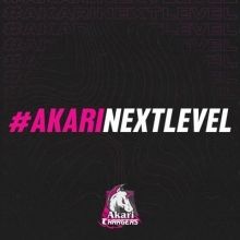akarichargers