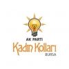 akkadinbursa