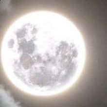 alanbra11313269