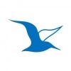 albatroszv