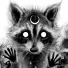 aldi.raccoon