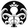 algoctopus
