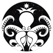 algoctopus