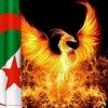 algriealgerie