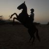 alhassani4all