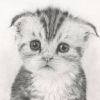 aliprofi.ru