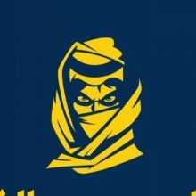alnassrfans