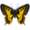 aloner