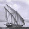 altwash41