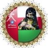 amal555535