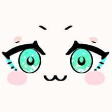 ameko.lp