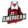 americanhoolis