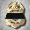 amherstpoliceny