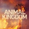 animalkingdom