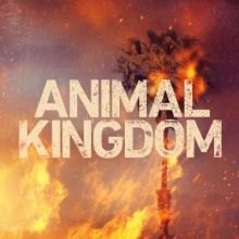 animalkingdom