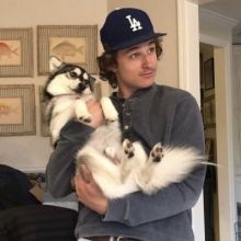 animalsofhockey