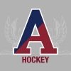 aof.hockey