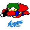 aoyamasports