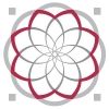 arabngonetwork