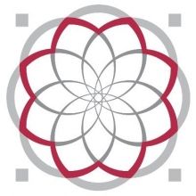 arabngonetwork