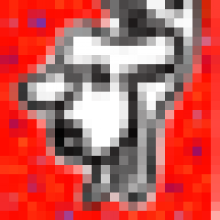arai.dalmatian