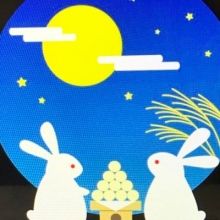 argent.lapine