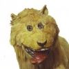 aristodo1