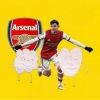 arsenallove6700