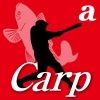 asahi.carp