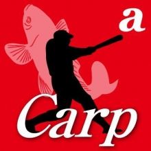asahi.carp