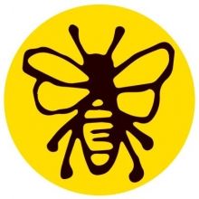 assopollinis