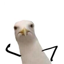 astabarabasta