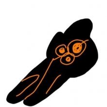 asurapisp2500