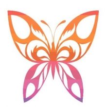 asus.butterfly