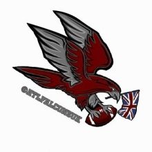 atlfalconsuk
