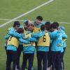 avispa.28.11
