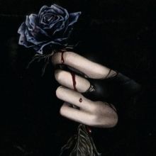 awomanisnoone