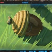 az.botw