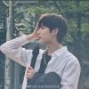 babyacorn.sunoo