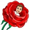 bachelorbob