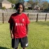 bamalfc334