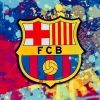 barcanewshub