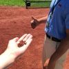 baseball.ticket