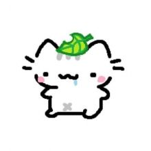 basiilleaf