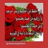 bdaljwadmwsy