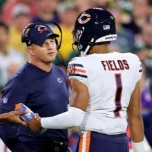 bearsmotive