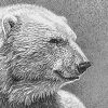 belyi.mish
